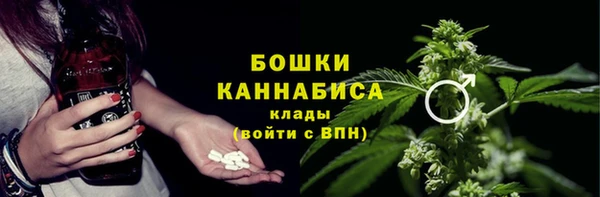 ешки Алексин
