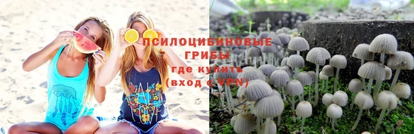 метадон Алзамай