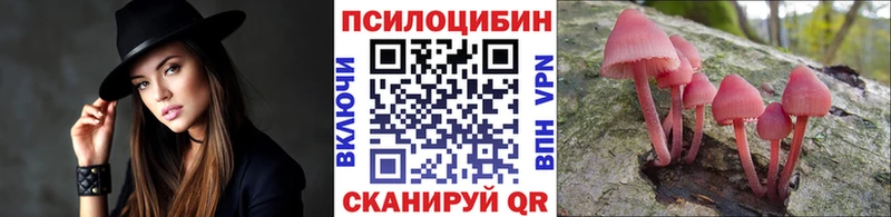 купить наркотик  Дыгулыбгей  Галлюциногенные грибы мицелий 